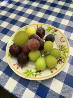 当日食べたぶどうの山