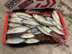 会員交流会参加風景