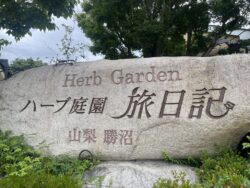 ハーブ庭園旅日記勝沼庭園見学風景
