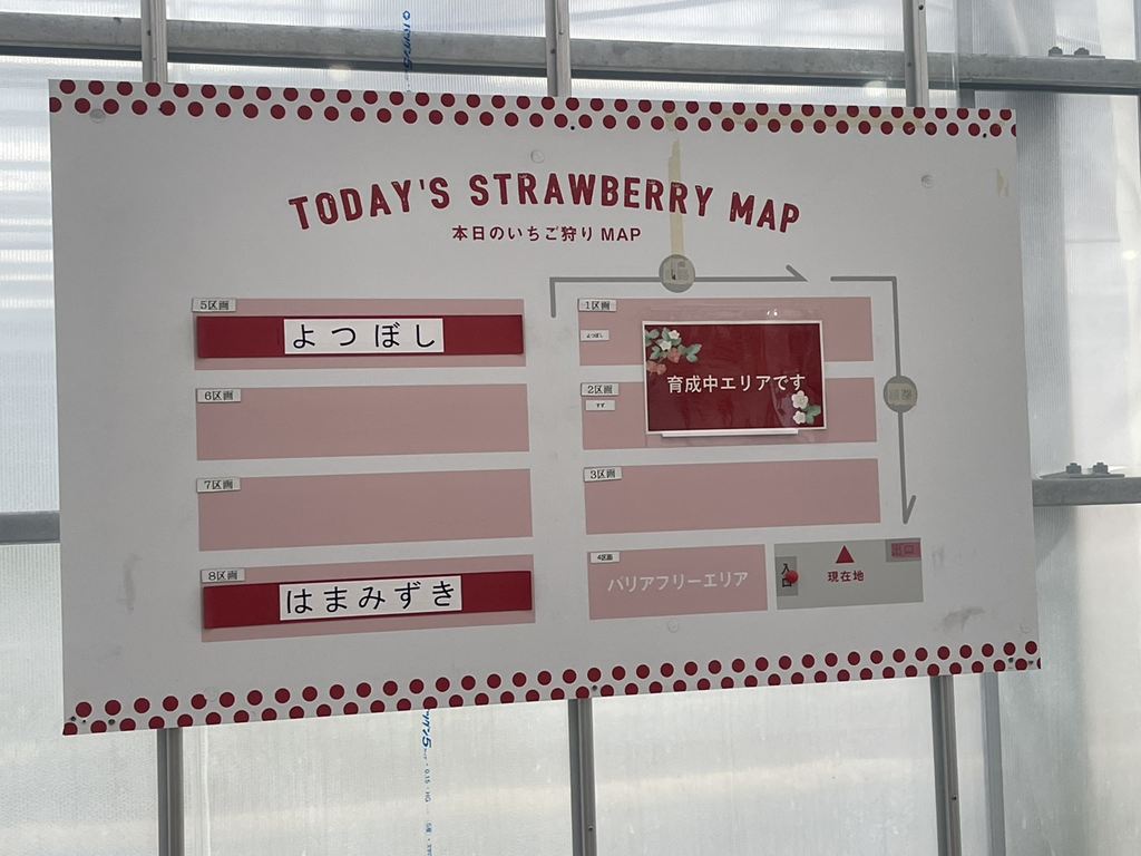 横浜ストロベリーパークにて 横浜ストロベリーパークにて