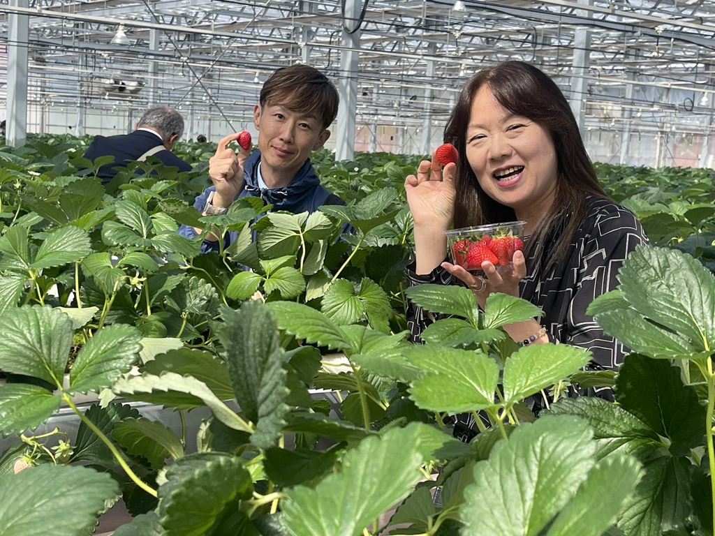横浜ストロベリーパークにて 横浜ストロベリーパークにて