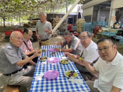 旬のぶどうを堪能中の皆様 旬のぶどうを堪能中の皆様