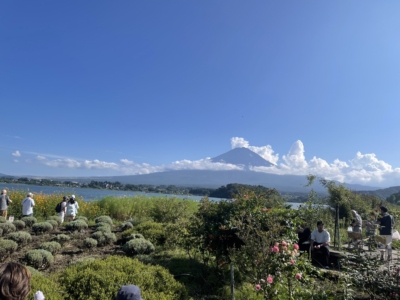 河口湖畔から望む富士山 河口湖畔から望む富士山