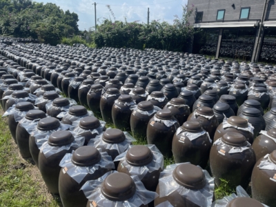 坂本の黒酢見学 坂本の黒酢見学